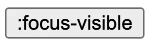 Le style focus ne s'applique pas au bouton focus par clique car il possèdent la classe :focus-visible